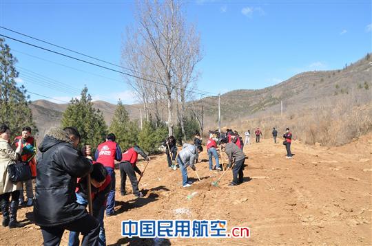 东航北京团委组织团员青年到郊外义务植树