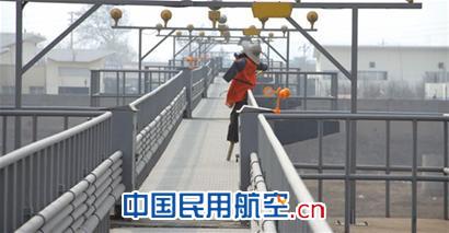 三千只鹭鸟散居机场边 架百个小风车前来驱赶