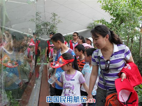 山区儿童畅游世园  东方航空真情相伴