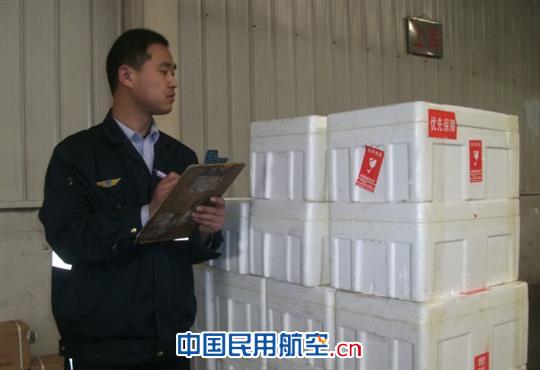 仓库内待运的樱桃 每日出港樱桃运输60吨 青岛机场进入水果发运季