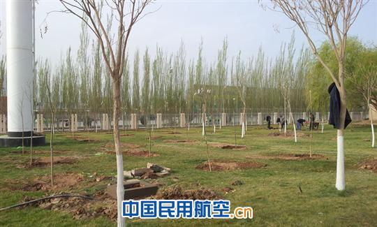 喀什机场春意盎然打造绿色园林环境