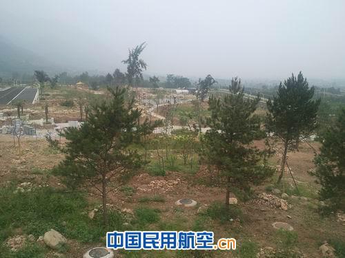 播种绿色 播撒生命 将区管中心建设成生态园林