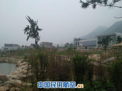 播种绿色 播撒生命 将区管中心建设成生态园林