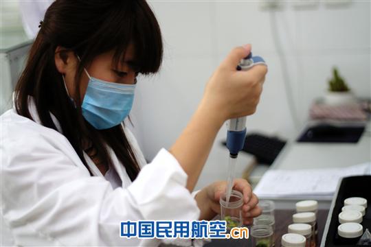 南航郑州航食：旺季印象：质控--幕后的安全卫士