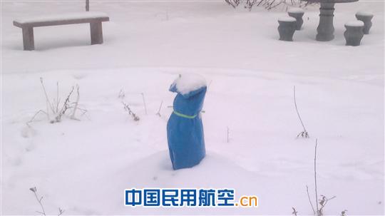 风雪你再大 我有保护衣