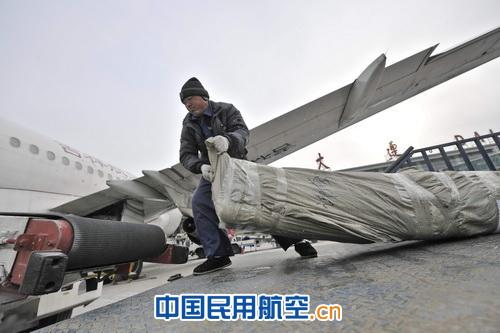双节将至 大连机场空运海鲜再升温