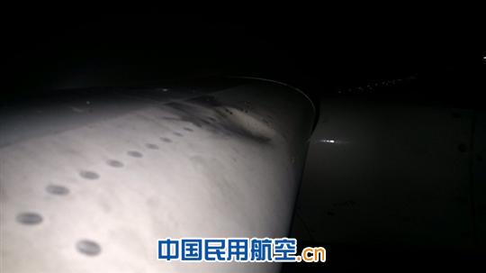 深航“安全教育月”：“退一步”的智慧