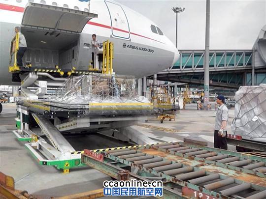 熊猫双胞胎姐妹作客广州过暑假