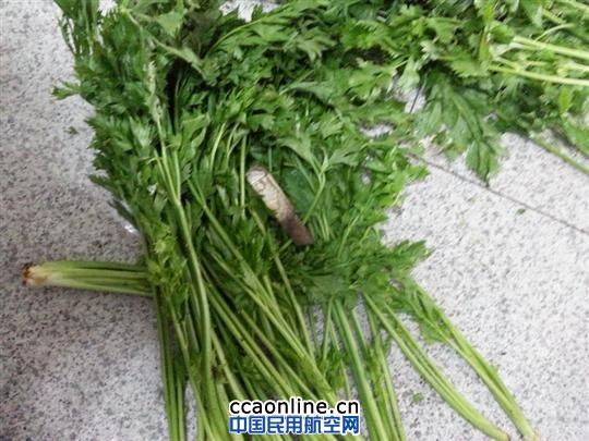 青岛机场安检部拦截旅客“菜里藏刀”