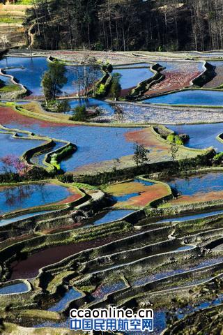 走进元阳看梯田
