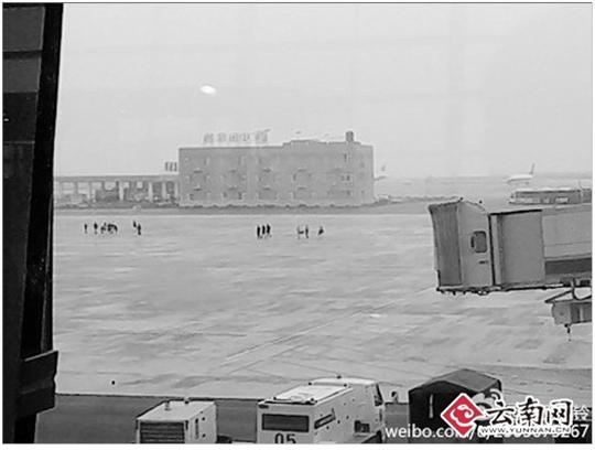 雷雨造成航班延误引纠纷 乘客硬闯长水机场跑道
