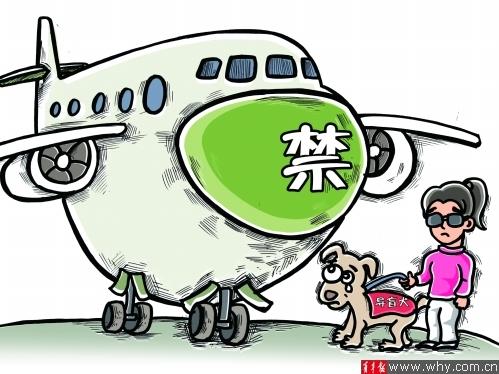 东航拒绝导盲犬随同主人呆在头等舱 限在经济舱