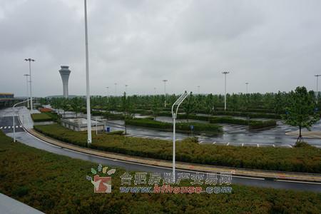 合肥新桥机场腾飞在即 过路费停车费引吐槽