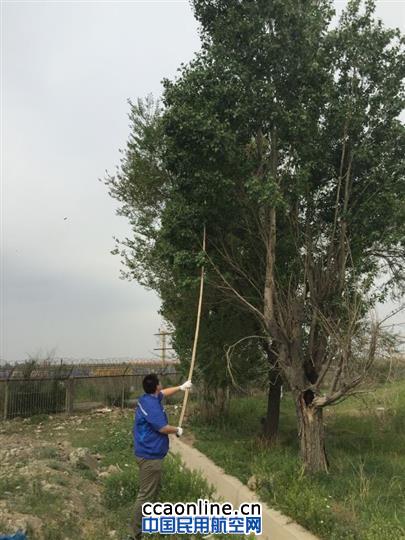 乌鲁木齐机场保障部开展机场周边生态治理