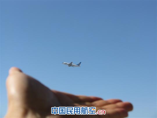 安全 从我们的手中放飞