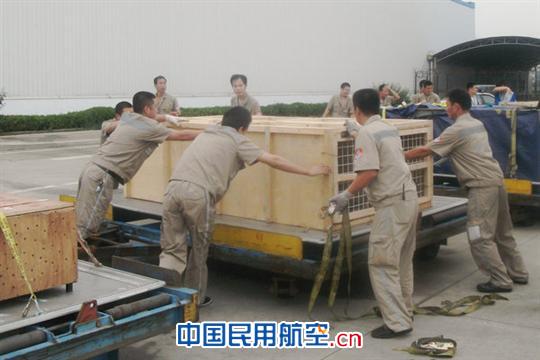 青岛机场圆满完成东海航空海洋动物包机保障任务