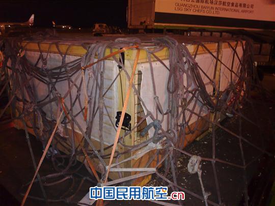 小可爱——企鹅降落白云机场货站