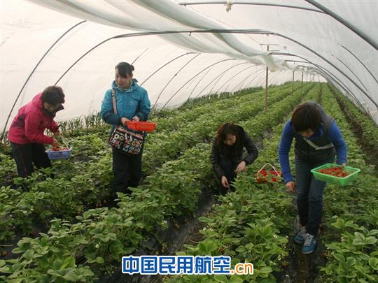 亲近自然放松心情  喜迎“三八”妇女节